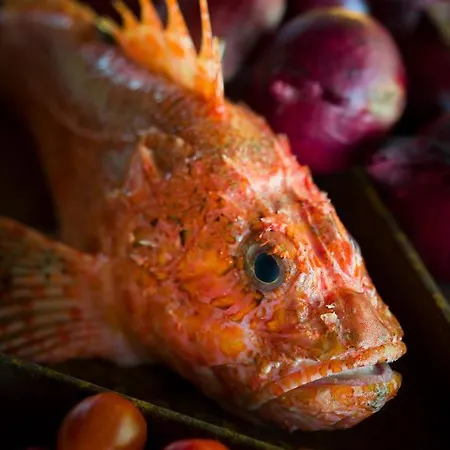 فندق مبيت وإفطار Tabor