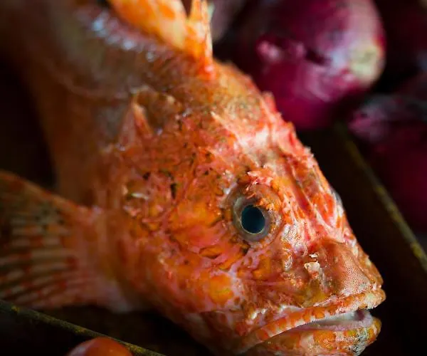 Nočitev z zajtrkom Tabor